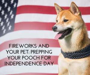 Fireworks and Your Pet: Prepping Your Pooch for Independence Day