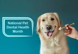 Pet Dental Health Month