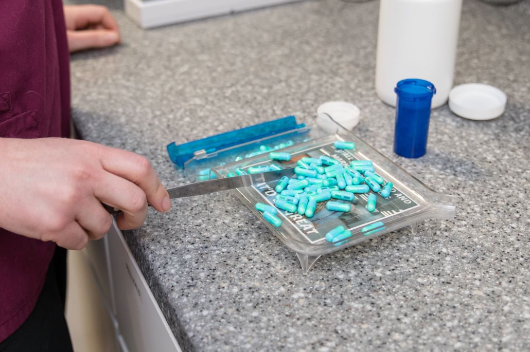 Pet Medications are Getting Easier to Administer