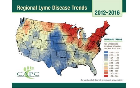 Lyme Disease