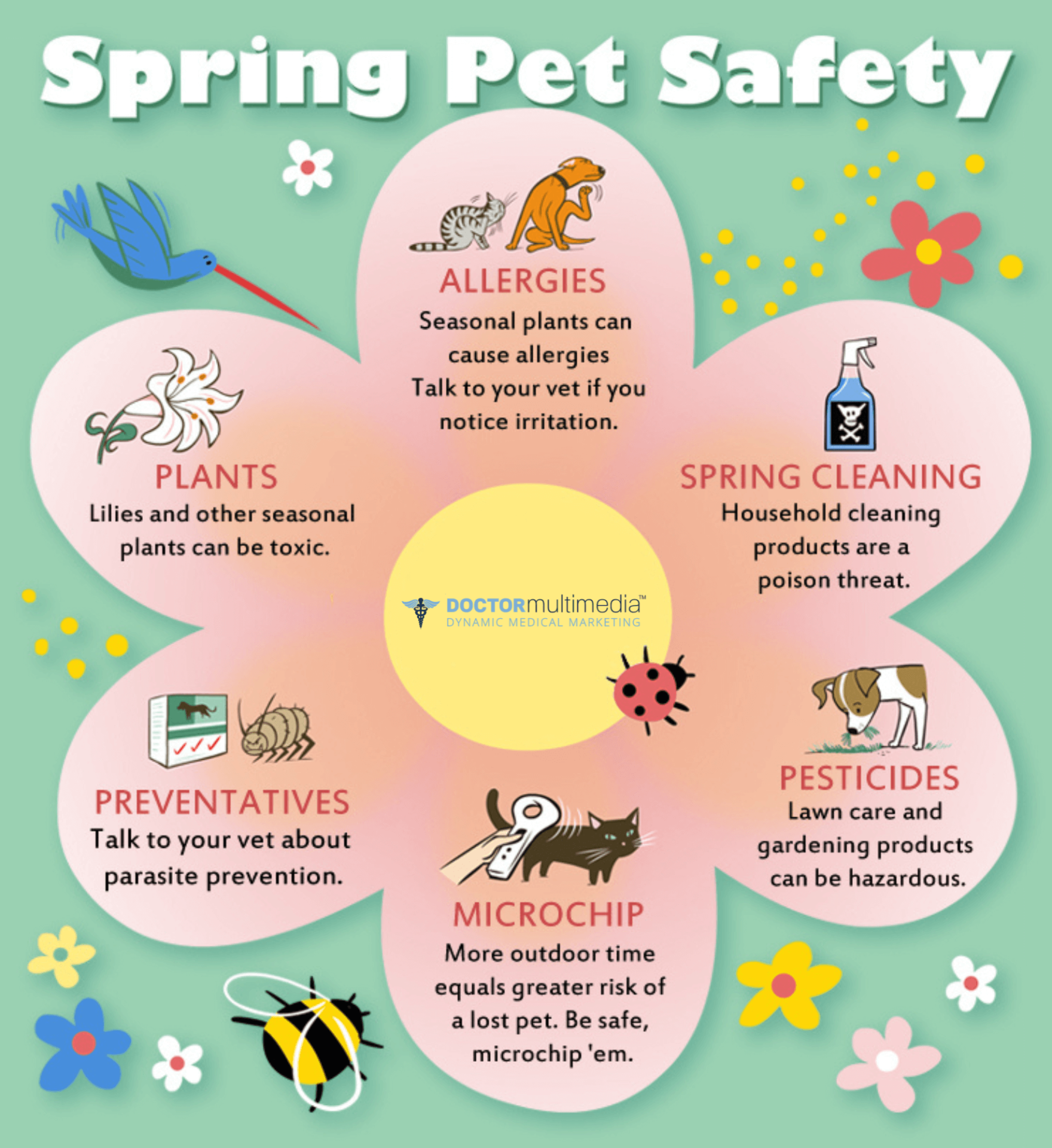 Spring Pet Care Safety