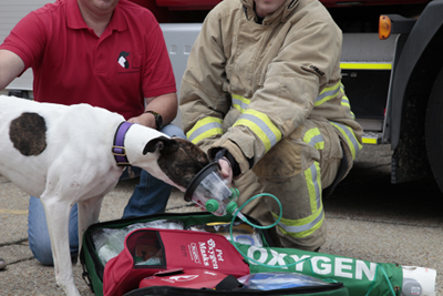 Fire Safety and Pets 3