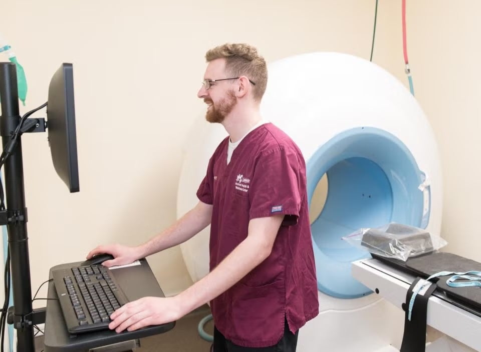 Pet CT Scans in West Lafayette