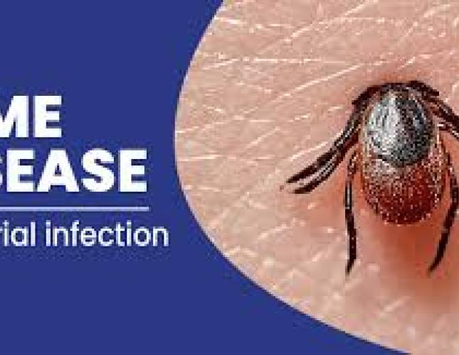 Lyme Disease