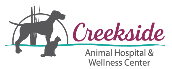 Creekside Animal Hospital & Wellness Center